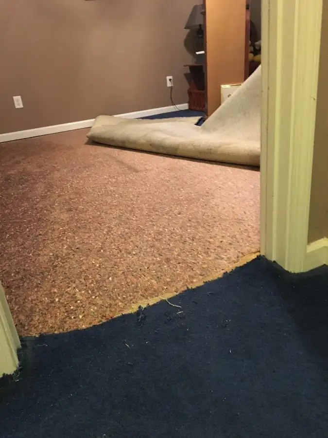 Carpet pad removal revealing water damage during Water Mitigation Services in Wildwood