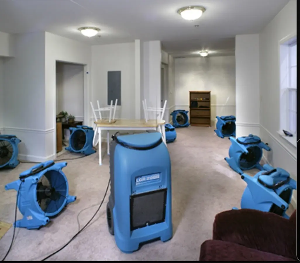 Air movers and dehumidifier setup for Water Extraction & Removal in Wildwood