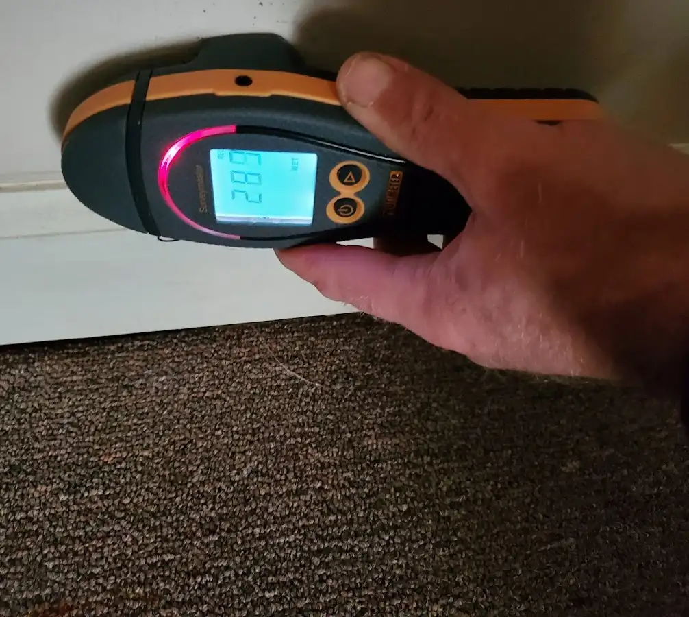Moisture detection at baseboard during Sewage Cleanup & Sanitation in Wildwood
